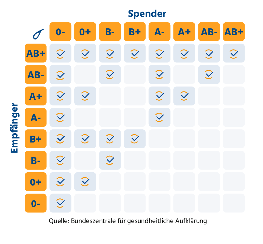 Die Blutgruppen von Spender und Empfänger müssen passen.